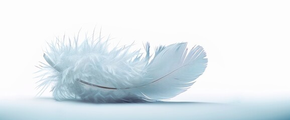 Pure White Feather Isolated On A Pristine White Background, Symbolizing Peace And Purity