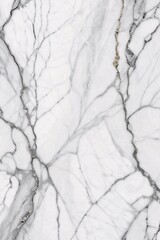 Classic Marble Backdrop with Natural Veins
