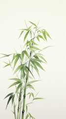 Obraz premium Bamboo leaves plant cannabis medicine.