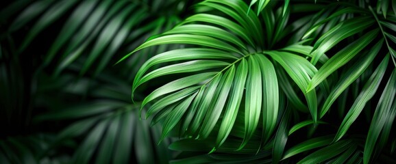 Fototapeta premium Gray Abstract Background With Palm Leaves Shadow, Creating A Subtle And Tropical Feel