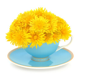 Dandelion flower surreal arrangement in blue gold tea cup and saucer on white. Natural herbal medicine for gut health and immune system support. Anti inflammatory, antioxidant.