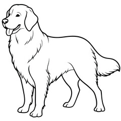 Golden Retriever  Dog  vector style,Clipart , Illustration with white background