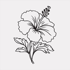 hibiscus flower line art silhouette vector on a white background