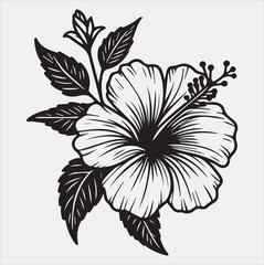 hibiscus flower line art silhouette vector on a white background