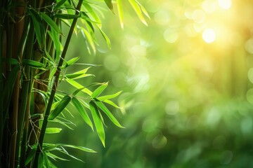 Obraz premium Close-up of bamboo stalks and leaves. Perfect for nature, growth, or eco-friendly themes.