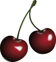 two cherries on a white background