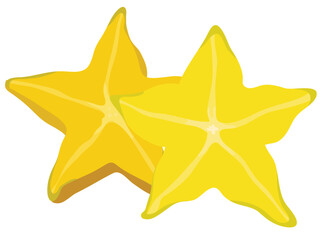 Carambola Fruits or Star Fruits Slices Illustration