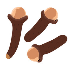 Dry Spice Clove Herb Illustration
