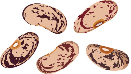 Pinto Beans or Kidney Beans Seeds Pile Illustration