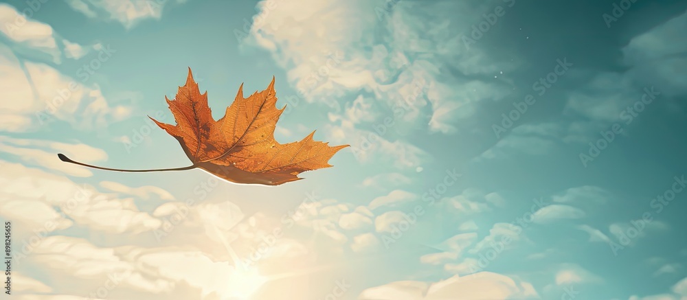 Poster autumnal atmosphere with a sunlit sky showing a solitary dry maple leaf drifting in the air offering