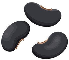 Black Beans Seeds Pile Illustration