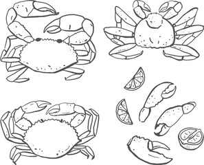 Hand drawn various crab set