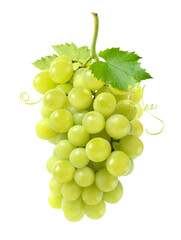 Fresh green grape cluster isolated on white background.
