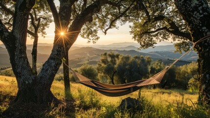 Hammock in the Tuscan Hills at Sunset.