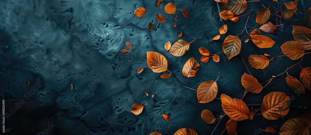 Leinwandbilder autumn leaves elegantly contrast a dark backdrop creating an engaging copy space image