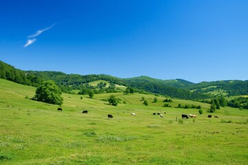 countryside with rolling hills