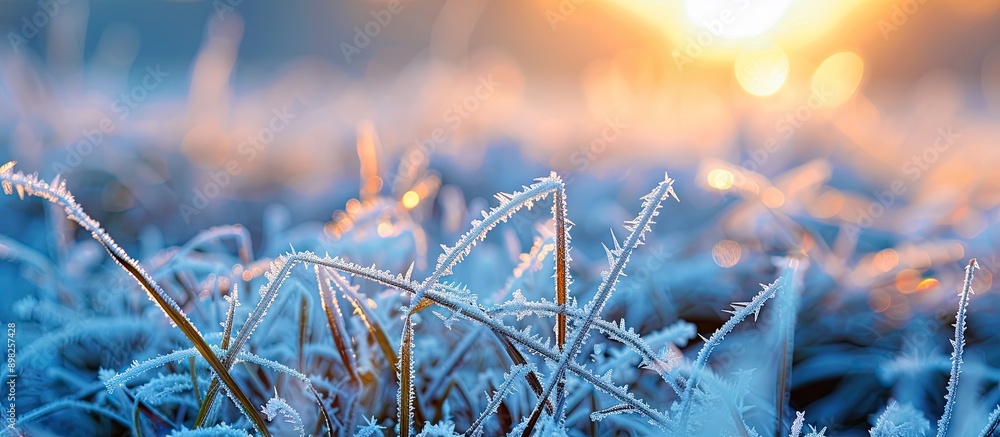 Leinwandbilder capturing a close up image of frost covered grass at sunrise on an early spring morning ideal for ma