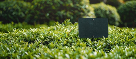 A black sign with white text urges people to stay off the lush vibrant green grass set against a backdrop of bushes creating a scene with copy space image