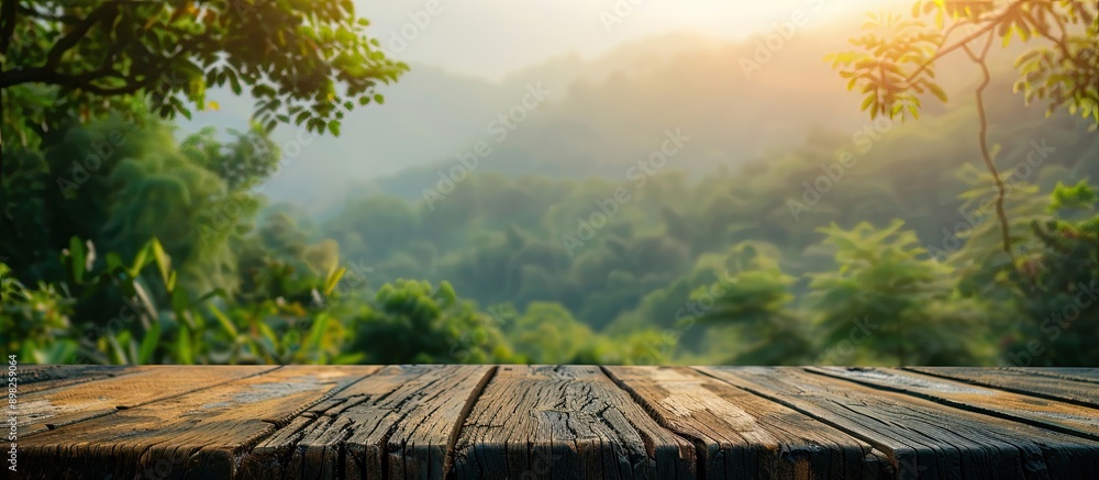 Leinwandbilder blurry nature background with a table top creating copy space image