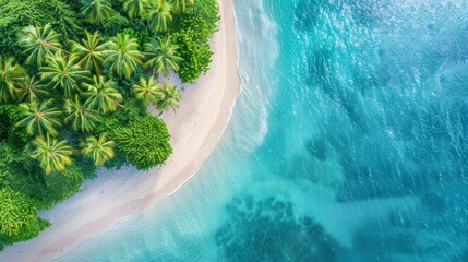 tropical beach with palm trees and white sand in foreground..Or, for a more descriptive version:..Bird's-eye perspective