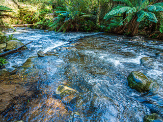 Fast Water Between Rocks Leads To Step In Creek