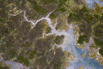 Marismas de Santona, Victoria y Joyel Natural Park, Cantabria, Spain