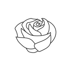Rose flower icon line design illustration