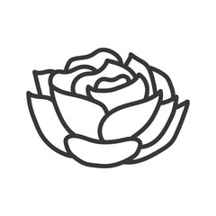 Rose flower icon line design illustration