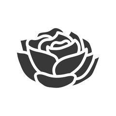 Rose flower icon design illustration
