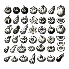 Hand-drawn Pumpkins and Gourds Set