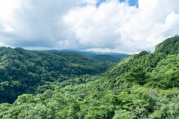 Obraz premium 八ヶ岳高原大橋から望む北杜市の原生林