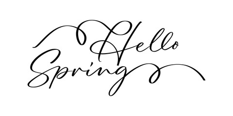 Hello spring lettering design isolated on transparent background © khar