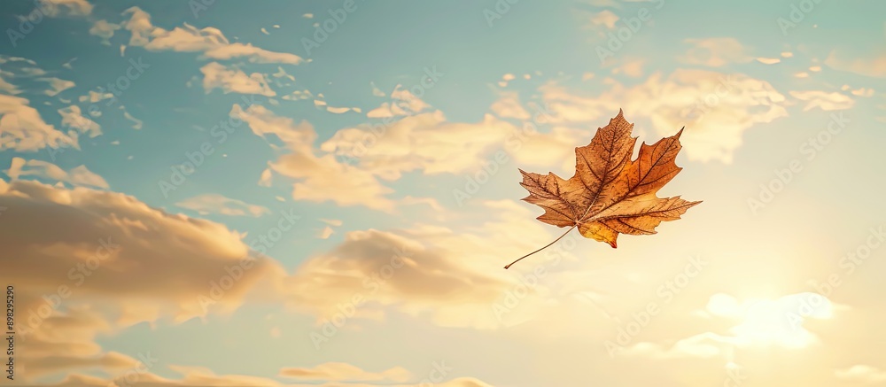 Poster autumnal atmosphere with a sunlit sky showing a solitary dry maple leaf drifting in the air offering
