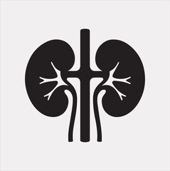 kidney vector silhouette on a white background