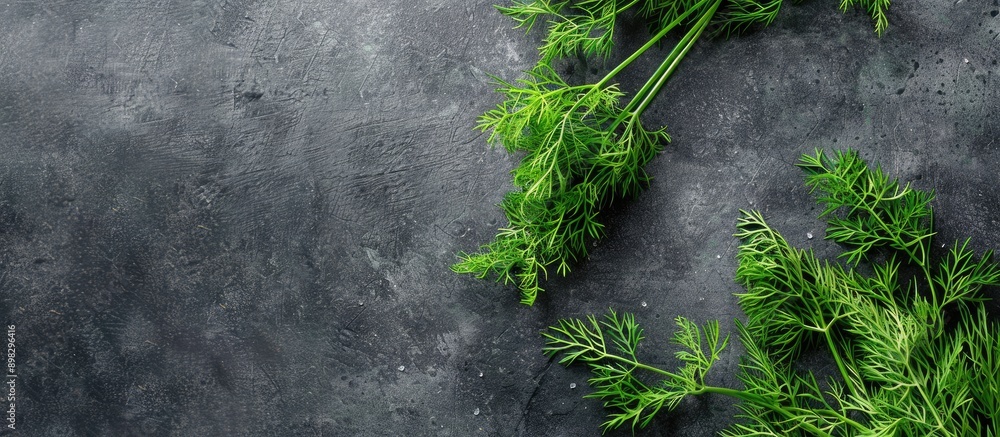 Leinwandbilder top down view of vibrant green dill on a grey surface with ample copy space image