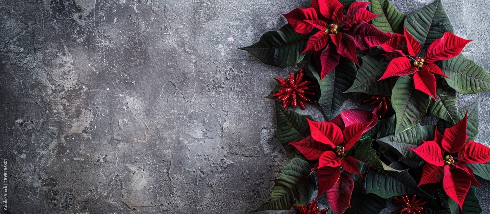 Poster Composition featuring poinsettia flowers on a grey backdrop with copy space image