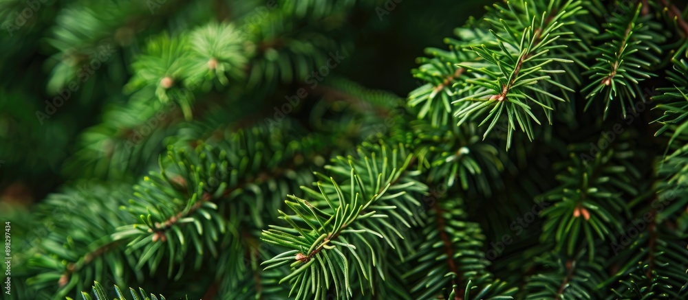 Poster close up photo of christmas tree needles with empty space for text a copy space image