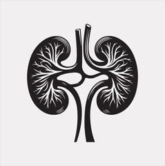 kidney vector silhouette on a white background