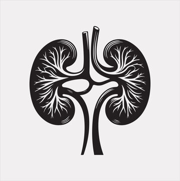 black and white kidneys anatomy clip art preview