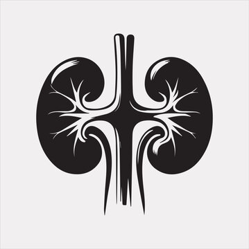 recommend clip art: kidney vector silhouette on a white background