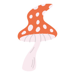 Fly agaric mushroom, hand drawn, vector illustration