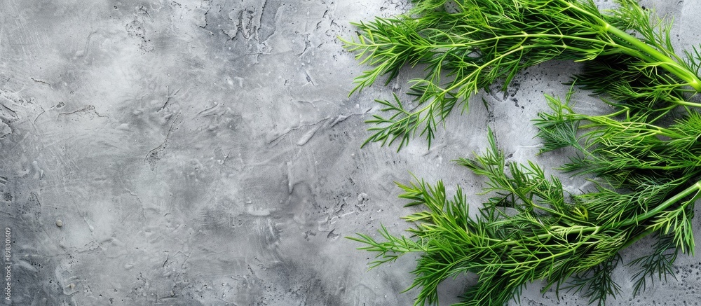 Leinwandbilder top down view of vibrant green dill on a grey surface with ample copy space image