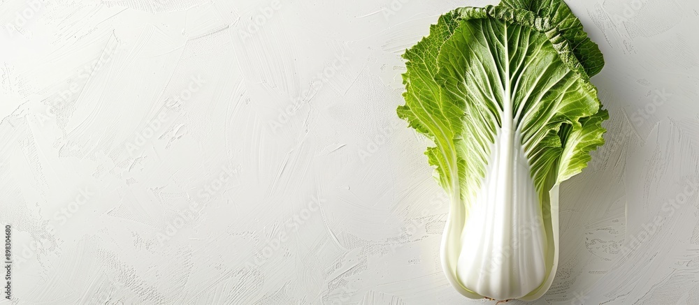 Poster chinese cabbage on a blank white backdrop with copy space for text or design