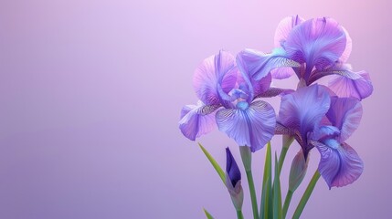 Obraz premium A vase holds several purple flowers against a light purple background Their green stems extend in front