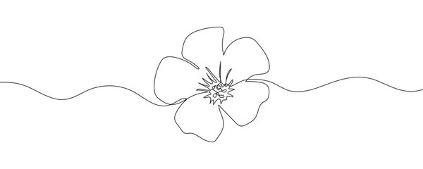 Linear flower on white background. Modern backdrop. Continuous line drawing vector illustration. Oxalis pes-caprae flower