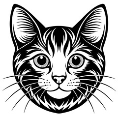  cat vector