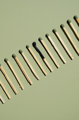 Burnt matchstick among unburnt ones on row.