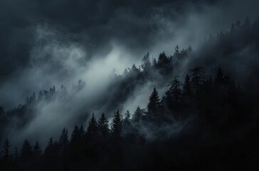 Obraz premium Misty Forest at Night
