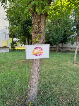 A tree with a sign promoting Cs&iacute;kszereda's "L&aacute;bbusz - Pedibus" program, encouraging families to have children walk to school. Miercurea Ciuc, Cs&iacute;kszereda, Romania -  July 26, 2024. 