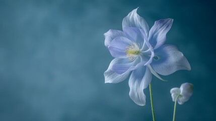 a softly blurred rendition of another blue flower
